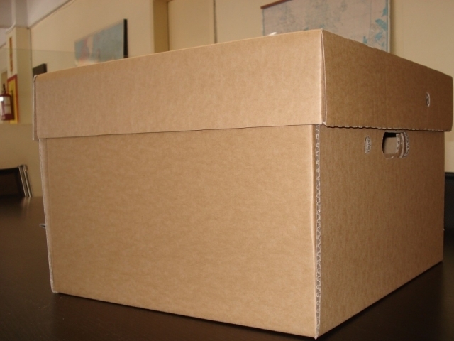 Caja Archivo Box